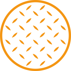 6.png